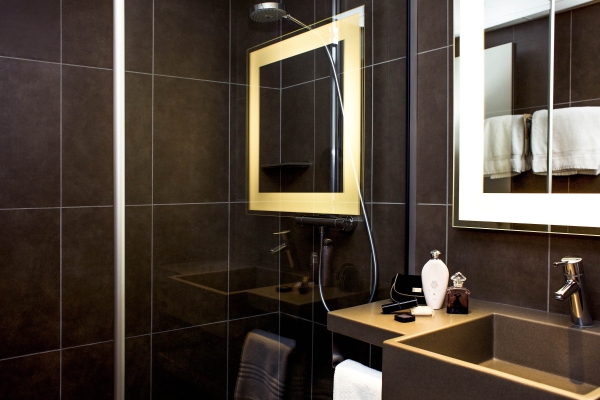 Hotel Novotel Annecy Centre